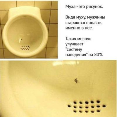 Прикрепленное изображение: Муха.jpg